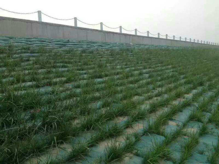 生態(tài)袋案例